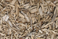 biomass boilers Wentnor